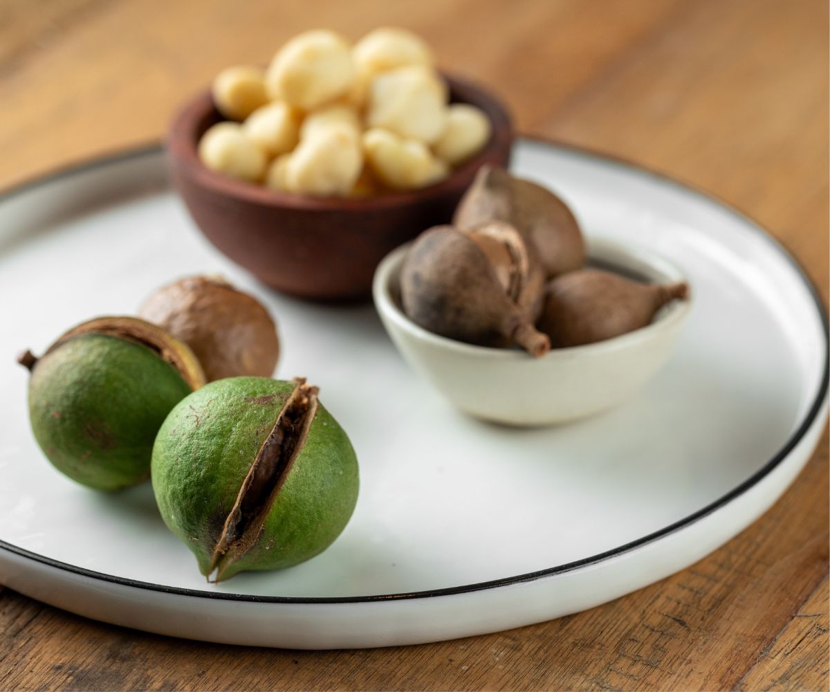 Macadamia Products (3)